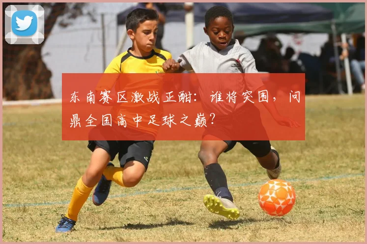 东南赛区激战正酣：谁将突围，问鼎全国高中足球之巅？