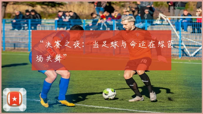 “决赛之夜：当足球与命运在绿茵场共舞”