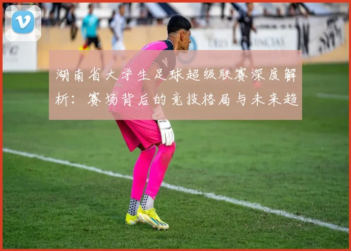 湖南省大学生足球超级联赛深度解析：赛场背后的竞技格局与未来趋势