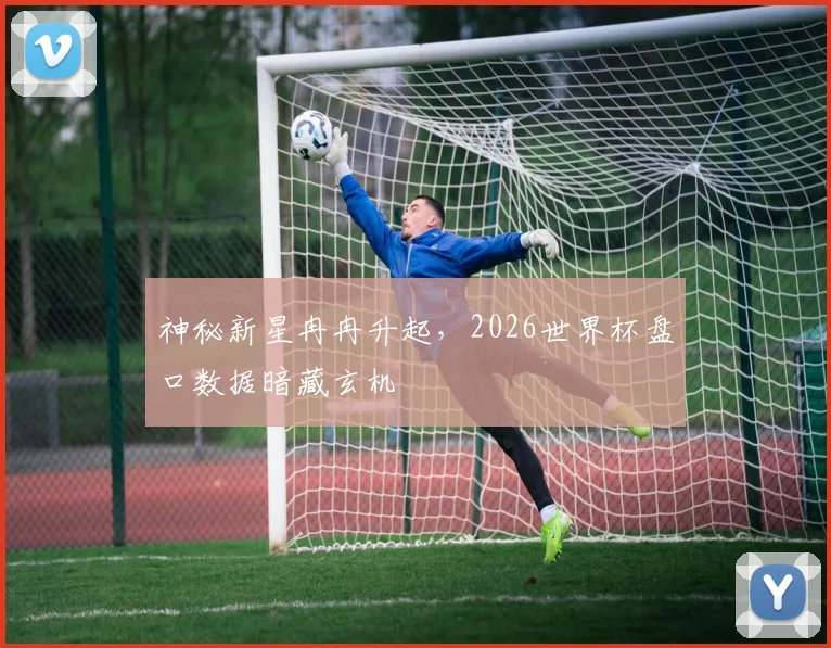 神秘新星冉冉升起，2026世界杯盘口数据暗藏玄机